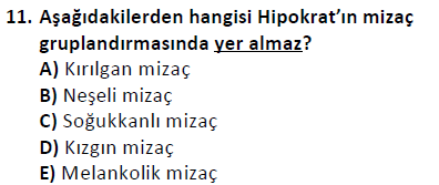 ata cocukgelisimonlisans 1501 11