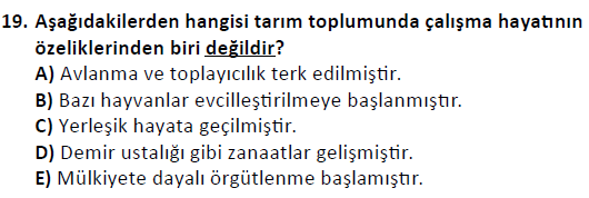 ata cocukgelisimonlisans 1501 19