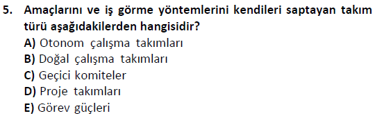 ata cocukgelisimonlisans 1501 5