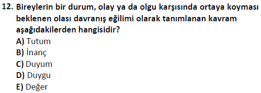 ata cocukgelisimonlisans 1501 12