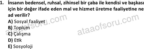 ata cocukgelisimonlisans 1501 1