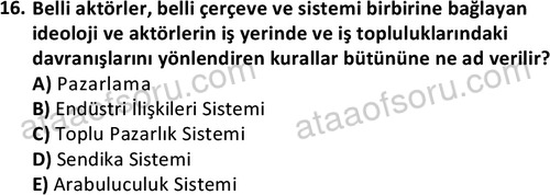 ata cocukgelisimonlisans 1501 16