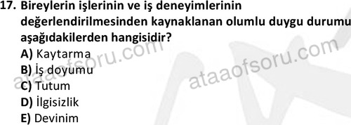 ata cocukgelisimonlisans 1501 17