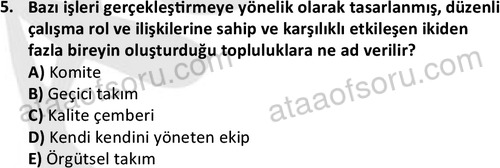 ata cocukgelisimonlisans 1501 5