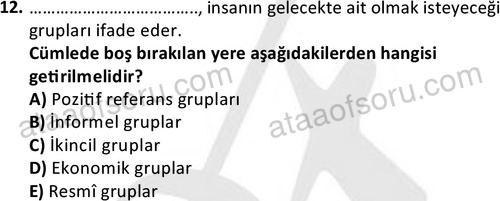 ata cocukgelisimonlisans 1501 12