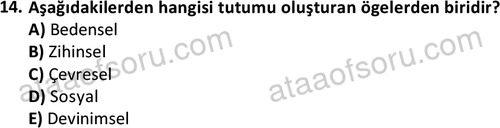 ata cocukgelisimonlisans 1501 14