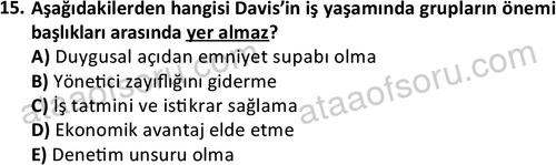 ata cocukgelisimonlisans 1501 15
