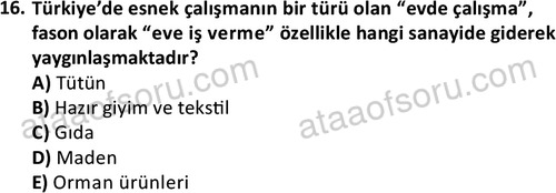 ata cocukgelisimonlisans 1501 16