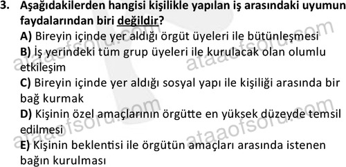 ata cocukgelisimonlisans 1501 3