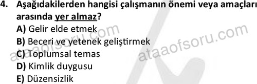 ata cocukgelisimonlisans 1501 4
