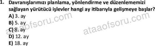 ata cocukgelisimonlisans 1497 1