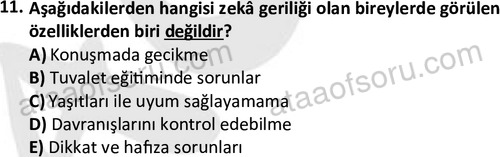 ata cocukgelisimonlisans 1497 11