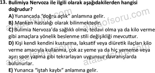 ata cocukgelisimonlisans 1497 13