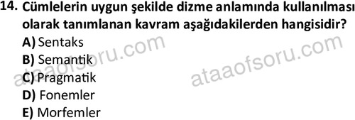 ata cocukgelisimonlisans 1497 14