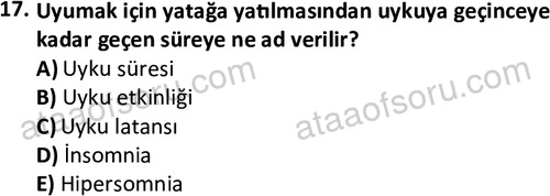 ata cocukgelisimonlisans 1497 17