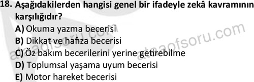 ata cocukgelisimonlisans 1497 18