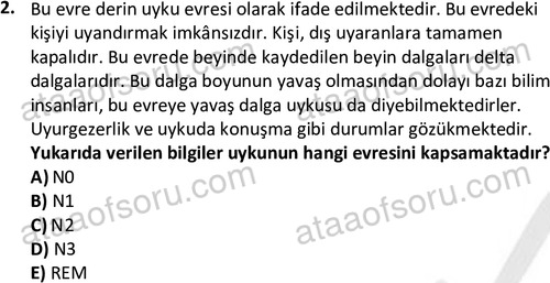 ata cocukgelisimonlisans 1497 2