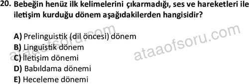 ata cocukgelisimonlisans 1497 20