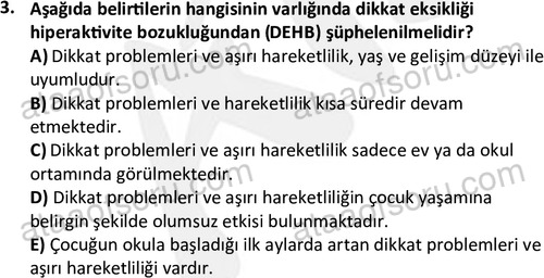 ata cocukgelisimonlisans 1497 3