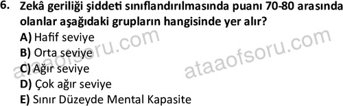 ata cocukgelisimonlisans 1497 6