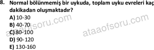 ata cocukgelisimonlisans 1497 8