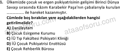 ata cocukgelisimonlisans 1497 1
