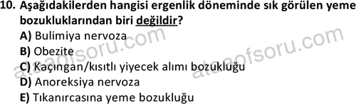 ata cocukgelisimonlisans 1497 10