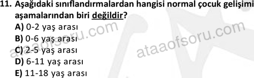 ata cocukgelisimonlisans 1497 11