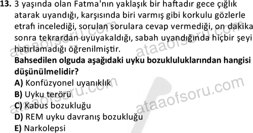 ata cocukgelisimonlisans 1497 13