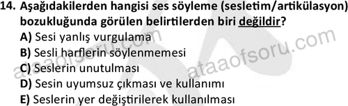 ata cocukgelisimonlisans 1497 14