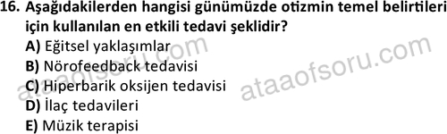 ata cocukgelisimonlisans 1497 16