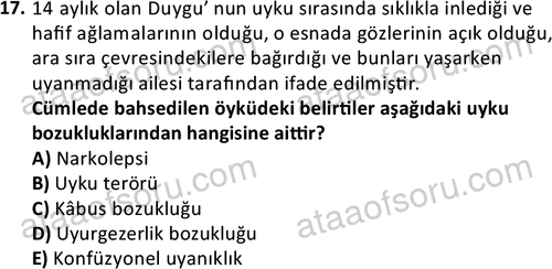 ata cocukgelisimonlisans 1497 17