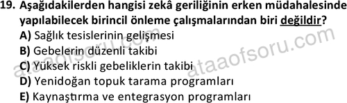 ata cocukgelisimonlisans 1497 19