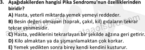 ata cocukgelisimonlisans 1497 3