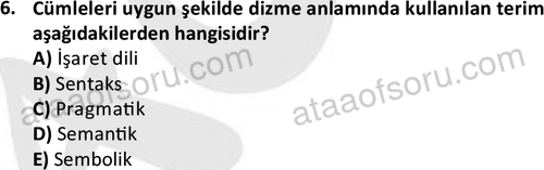 ata cocukgelisimonlisans 1497 6