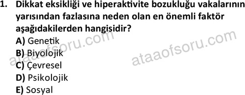ata cocukgelisimonlisans 1497 1