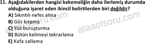 ata cocukgelisimonlisans 1497 11
