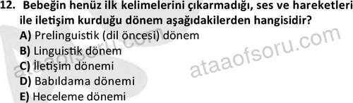 ata cocukgelisimonlisans 1497 12