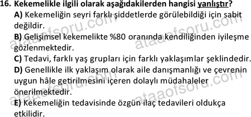 ata cocukgelisimonlisans 1497 16