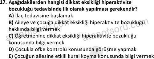 ata cocukgelisimonlisans 1497 17