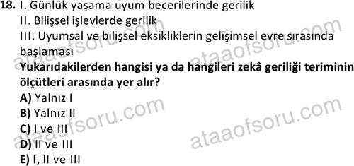 ata cocukgelisimonlisans 1497 18