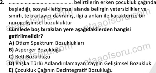 ata cocukgelisimonlisans 1497 2