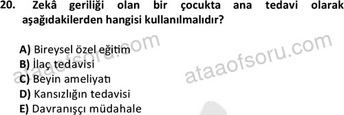 ata cocukgelisimonlisans 1497 20