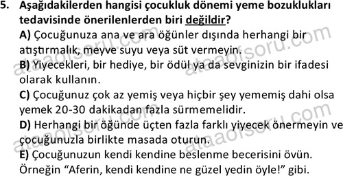 ata cocukgelisimonlisans 1497 5