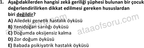 ata cocukgelisimonlisans 1497 1