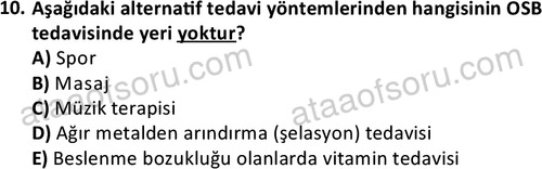 ata cocukgelisimonlisans 1497 10