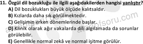 ata cocukgelisimonlisans 1497 11