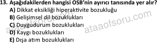 ata cocukgelisimonlisans 1497 13