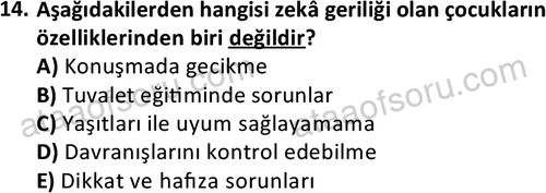 ata cocukgelisimonlisans 1497 14