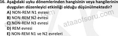 ata cocukgelisimonlisans 1497 16